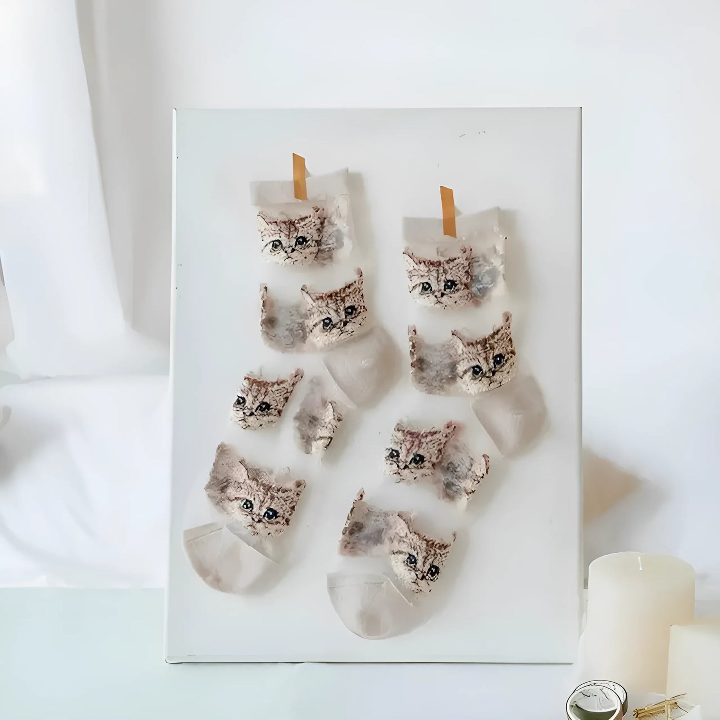 Beige Chaussettes longues transparentes pour chats
