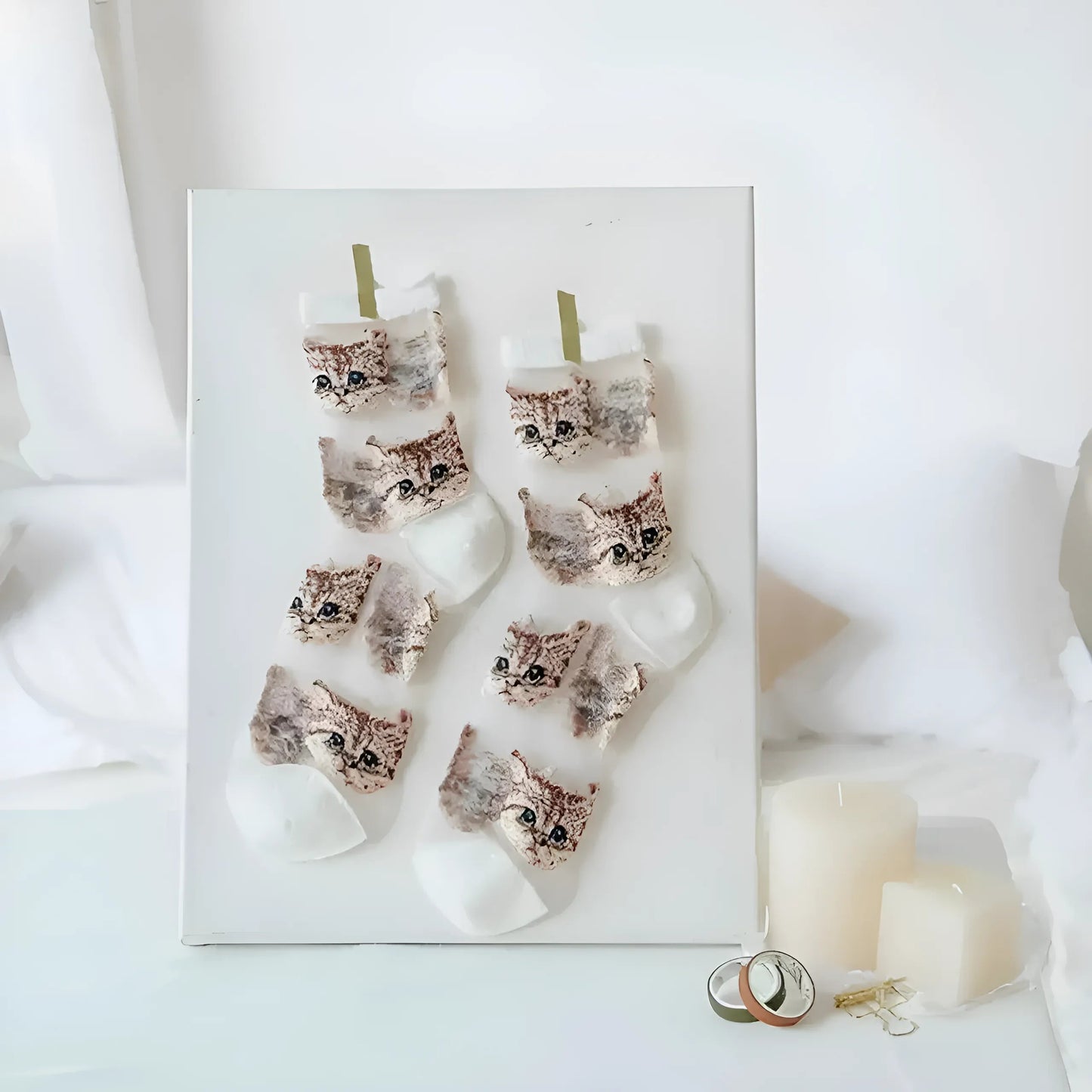 Blanc Chaussettes longues transparentes pour chats