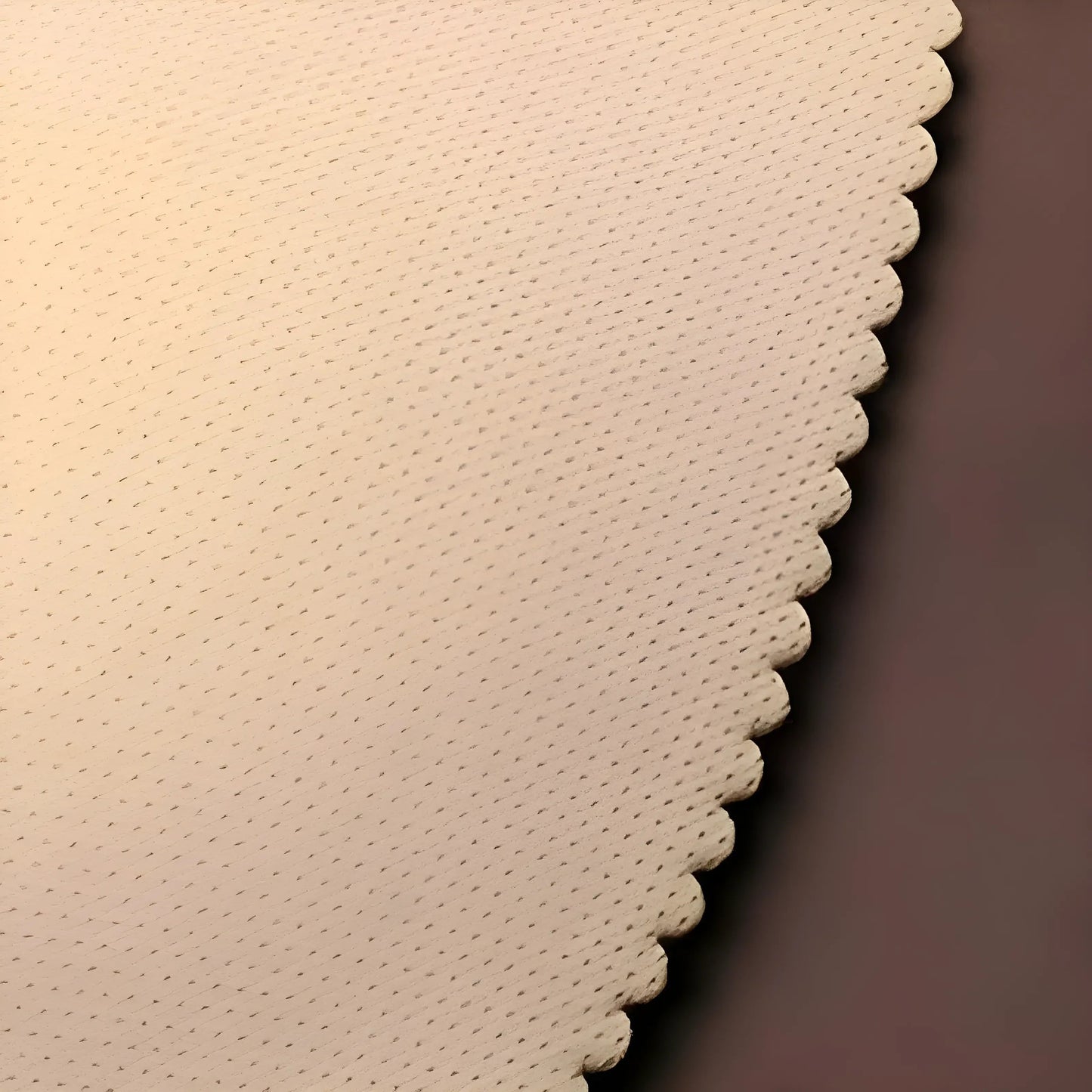 Culottes rembourrées taille haute