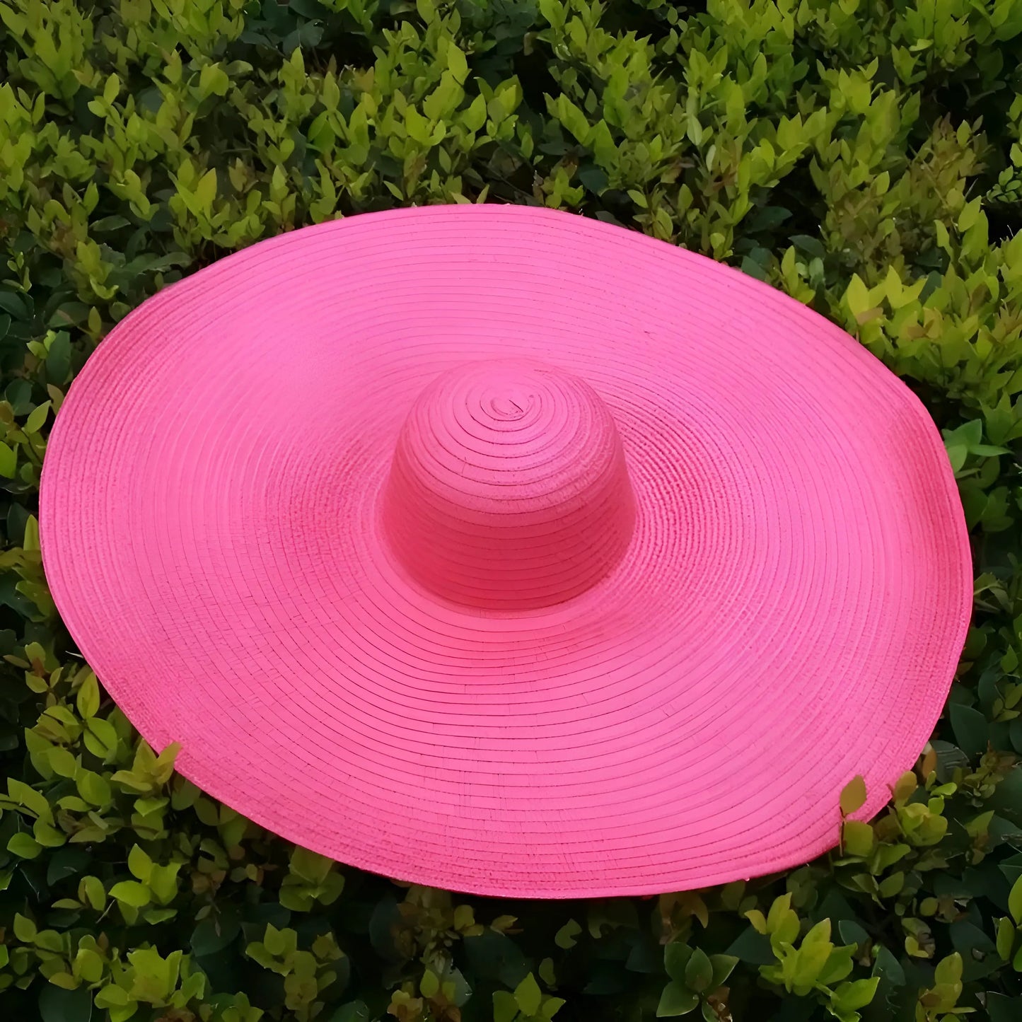 Rose Chapeau de plage à large bord