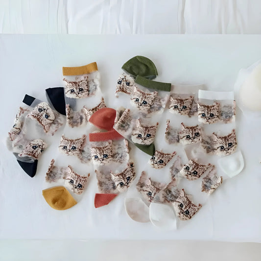  Chaussettes longues transparentes pour chats